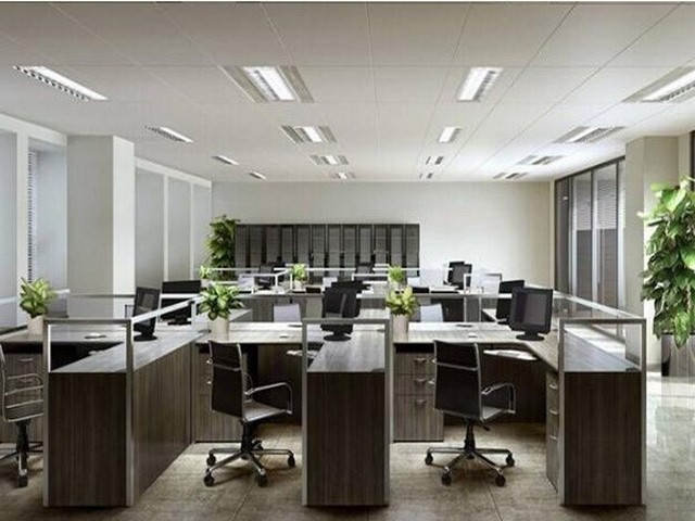 高坪区品牌君信财税云