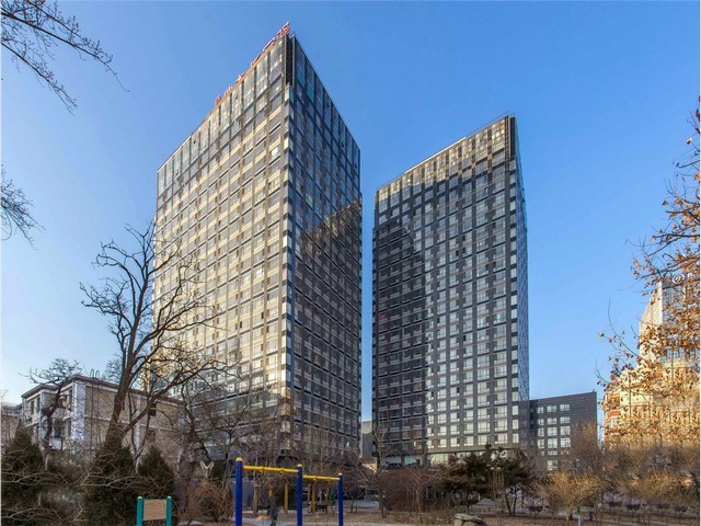 辽宁中麦29小麦种子哪里有卖